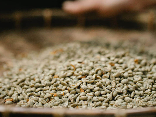 How to Choose Your Coffee Blend and Roast Profile